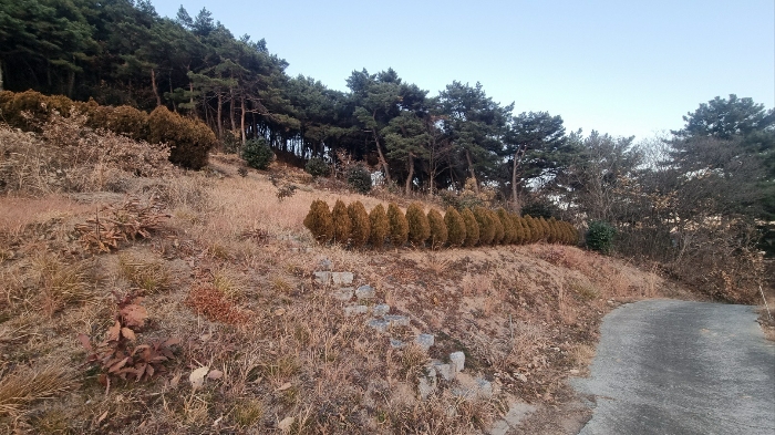 2024타경116849 사진