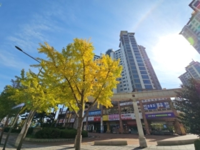 2024타경562752 사진