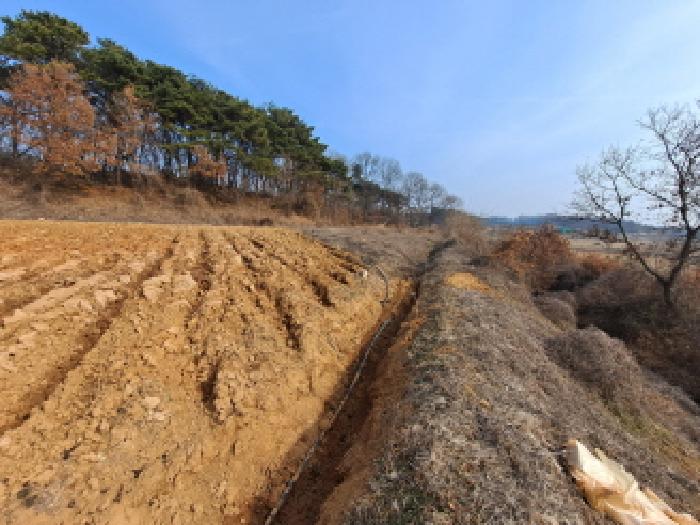 2025타경56 사진