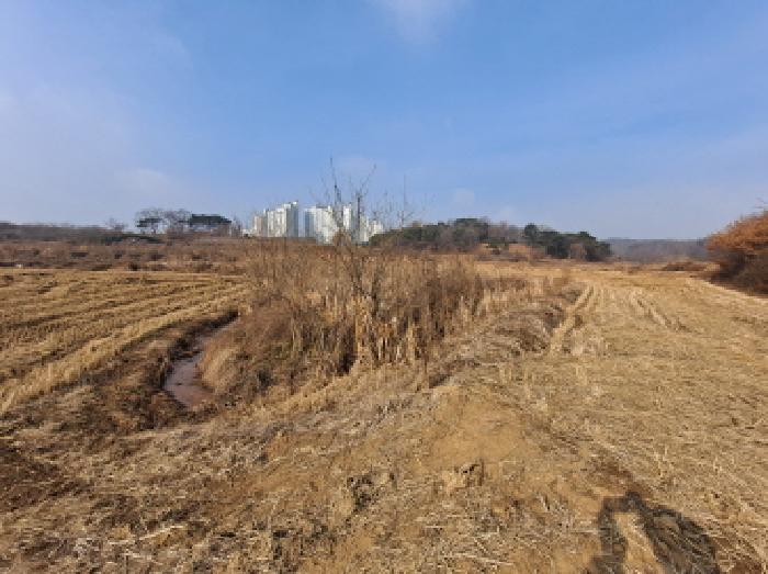 2025타경56 사진