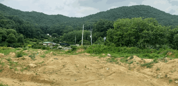 2025타경84 사진