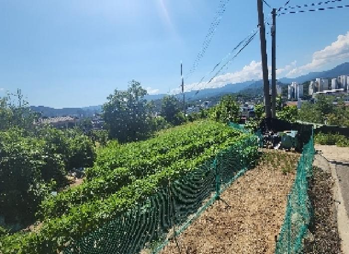 2025타경93 사진