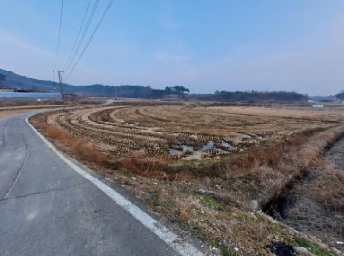 2025타경94 사진