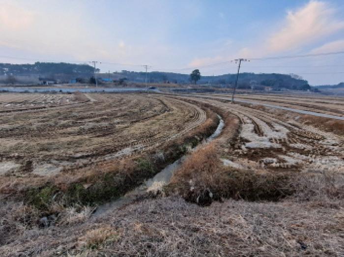 2025타경94 사진