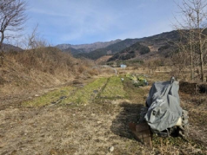 2025타경133 사진