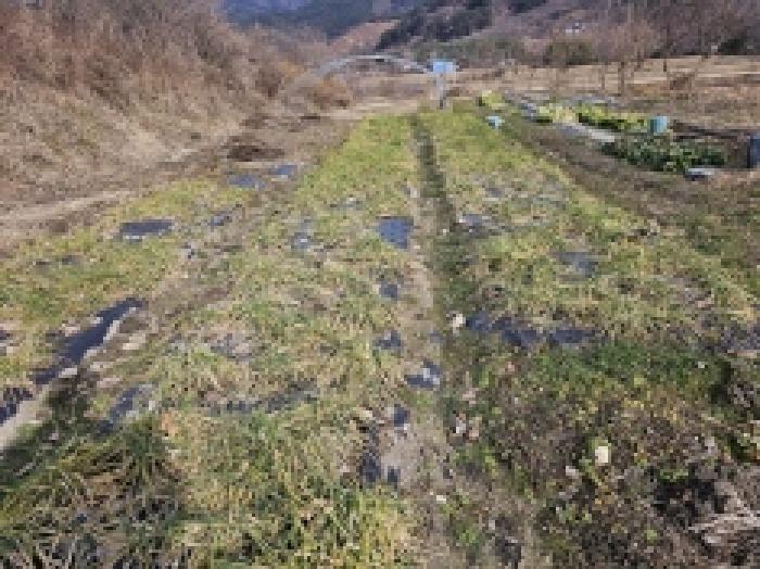 2025타경133 사진