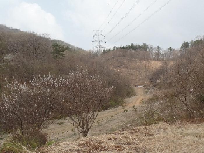 2025타경156 사진