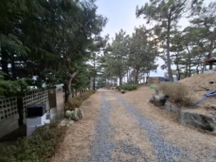 2025타경180 사진
