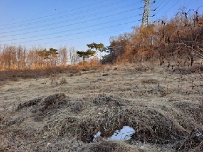 2025타경186 사진