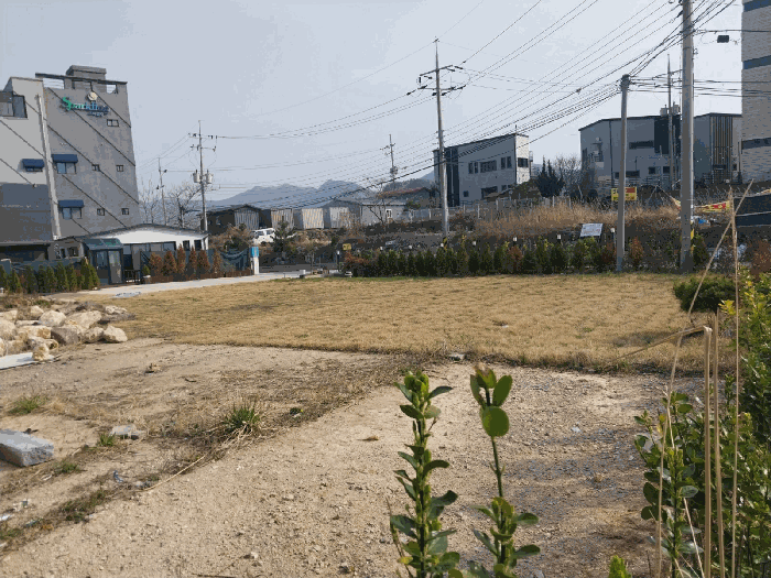 2025타경196 사진