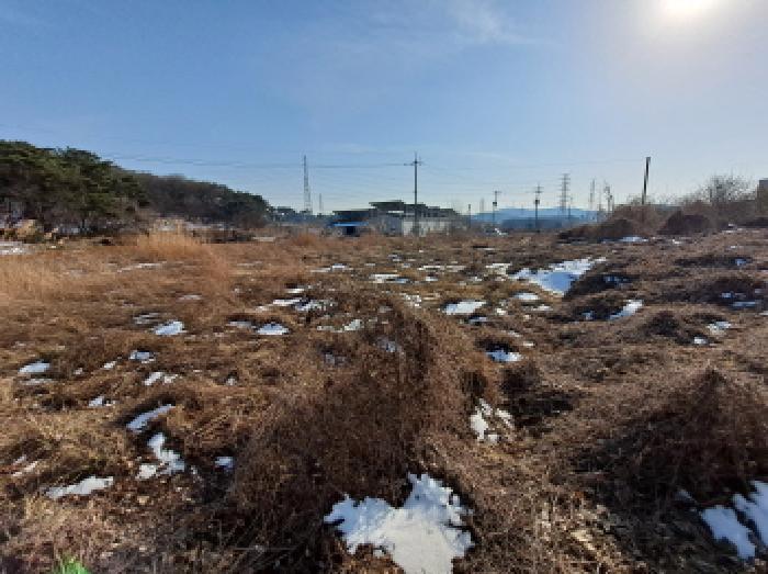 2025타경209 사진