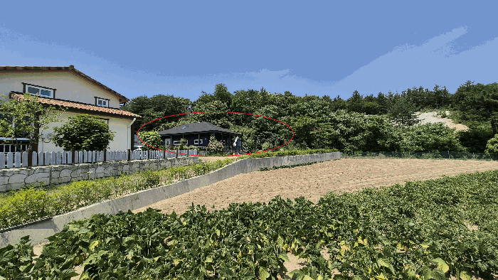 2025타경243 사진