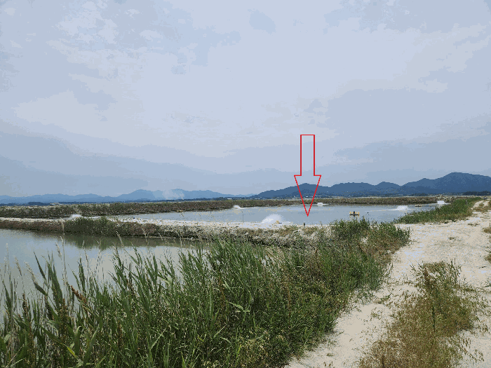 2025타경250 사진