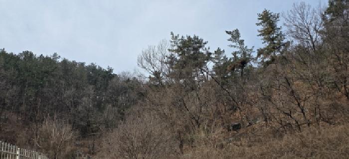 2025타경279 사진