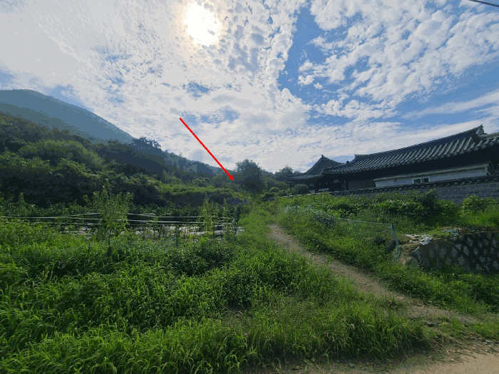 2025타경280 사진