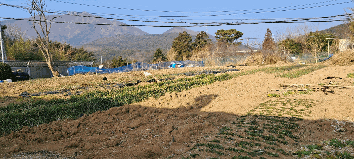 2025타경285 사진