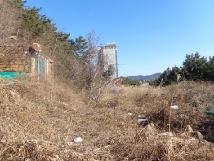 2025타경308 사진