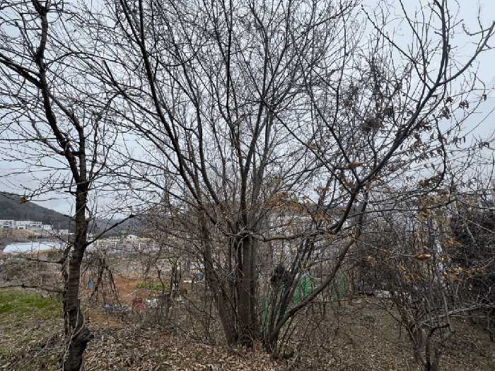 2025타경313 사진