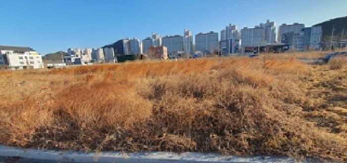 2025타경331 사진