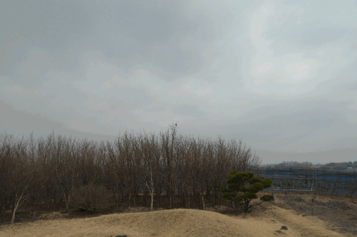 2025타경382 사진