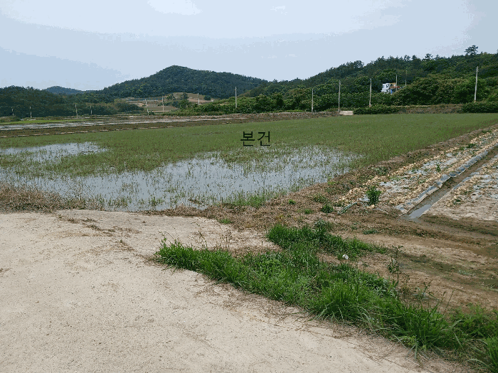 2025타경386 사진