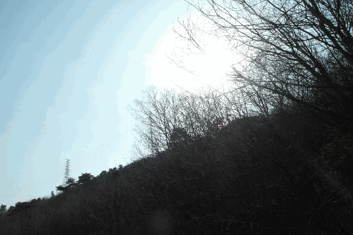 2025타경396 사진