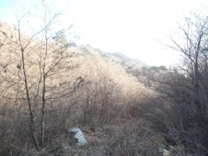 2025타경396 사진