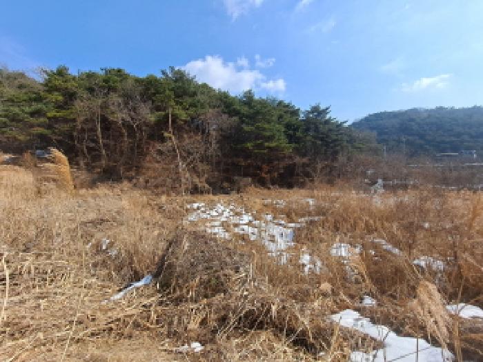 2025타경421 사진