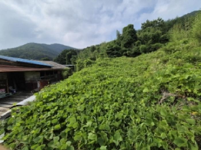 2025타경501 사진