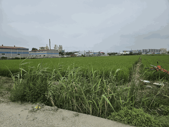 2025타경505 사진