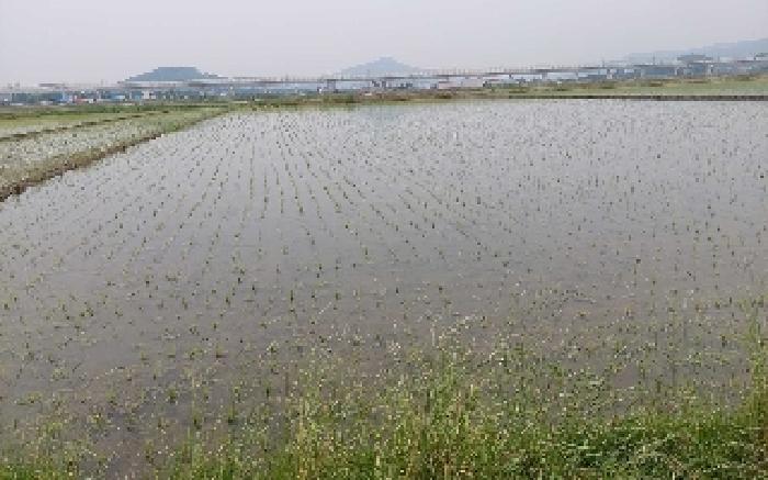 2025타경512 사진