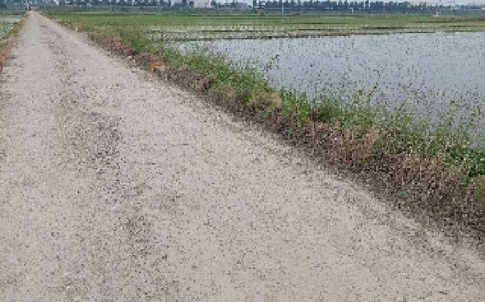 2025타경512 사진