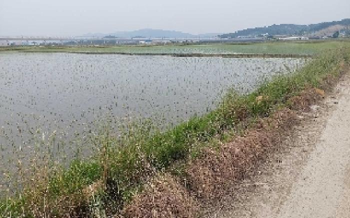 2025타경512 사진