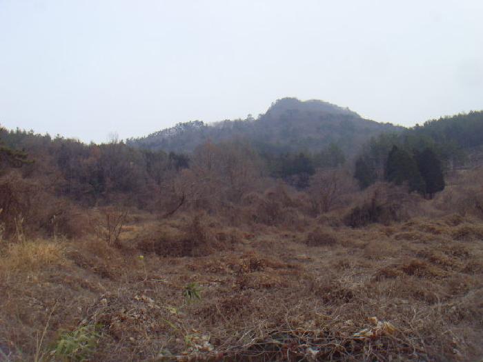 2025타경587 사진