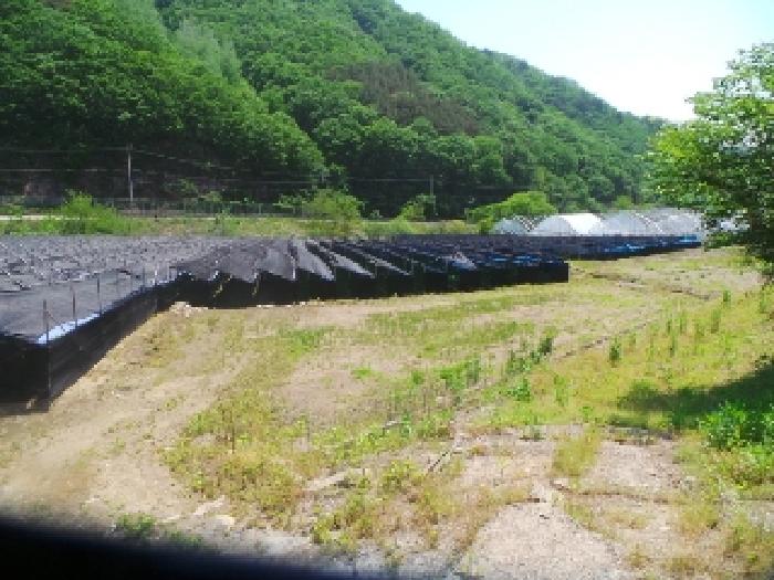 2025타경620 사진