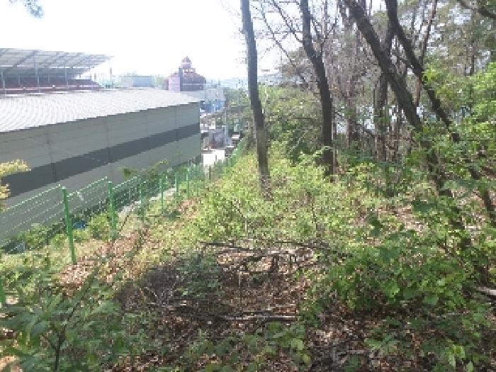 2025타경653 사진