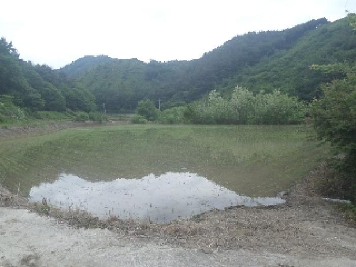 2025타경698 사진