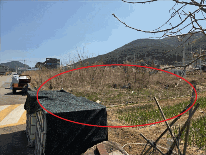 2025타경703 사진