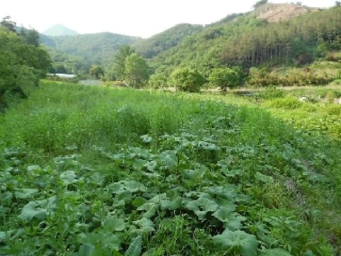 2025타경711 사진