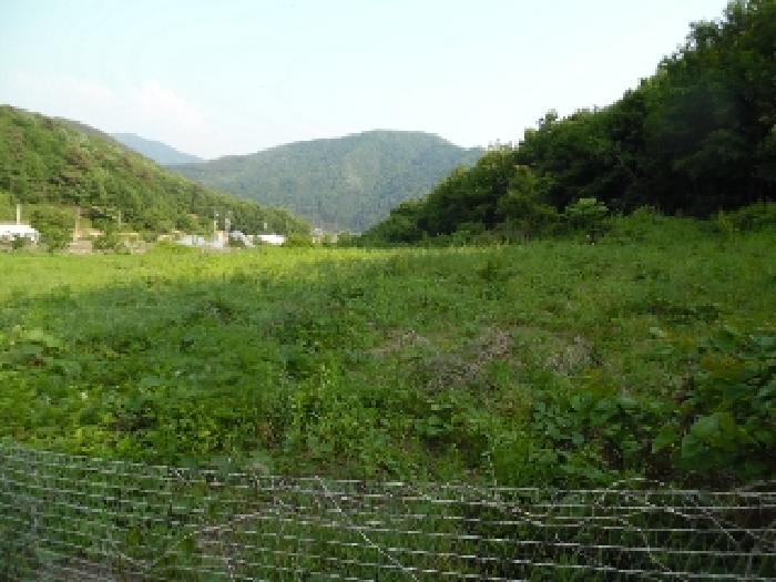 2025타경711 사진