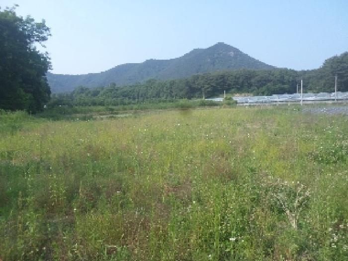2025타경713 사진