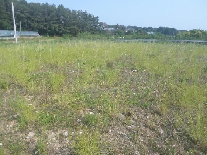 2025타경713 사진