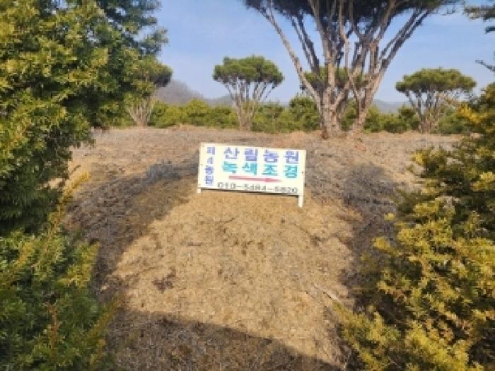 2025타경733 사진