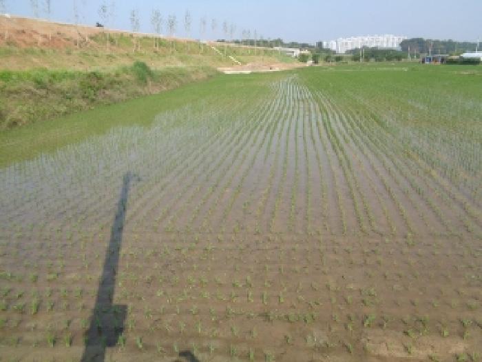2025타경745 사진