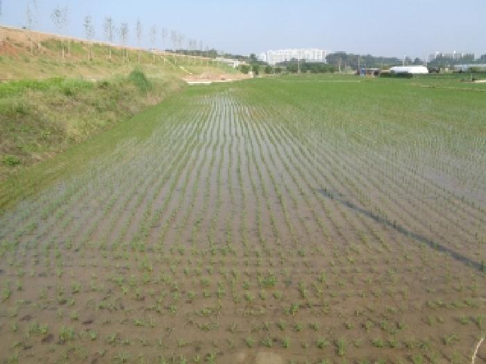 2025타경745 사진