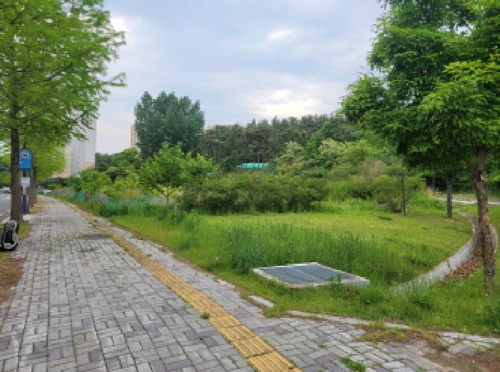 2025타경803 사진