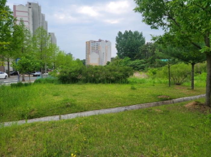 2025타경803 사진