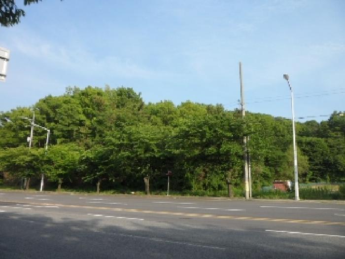 2025타경881 사진