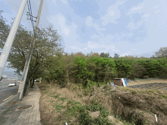 2025타경881 사진