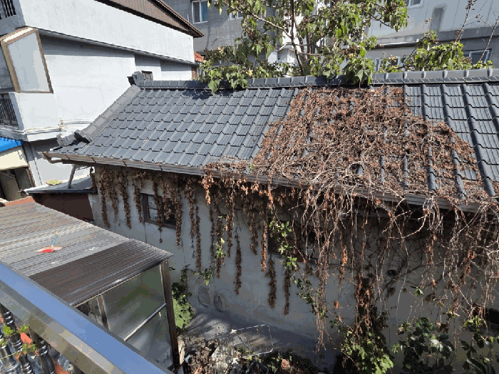 2025타경888 사진